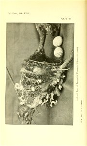 n49_w1150