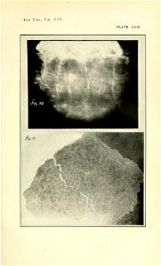 n154_w1150