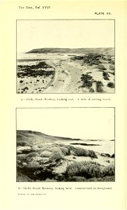 n193_w1150