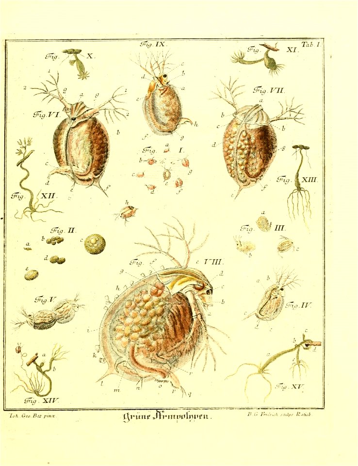 n468_w1150