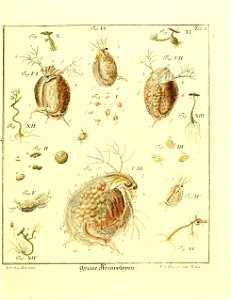 n468_w1150
