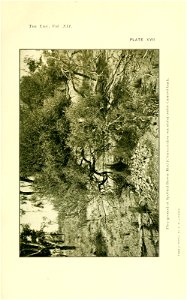 n146_w1150