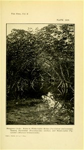 n348_w1150