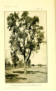 n143_w1150