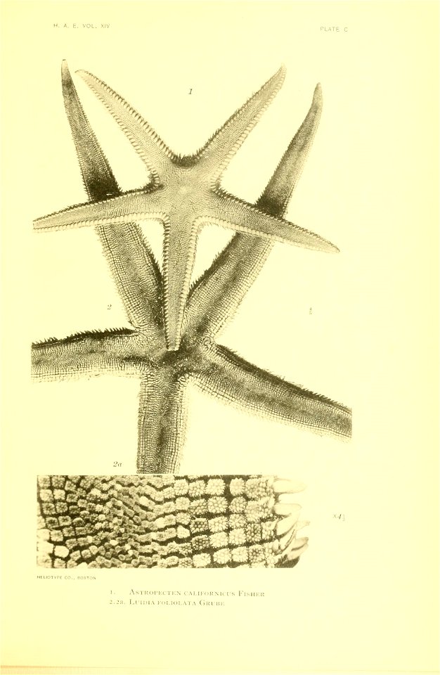 n404_w1150