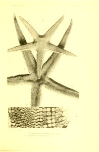 n404_w1150