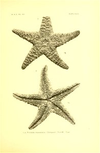 n160_w1150