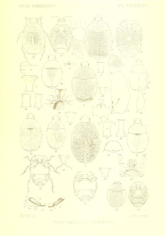 n880_w1150