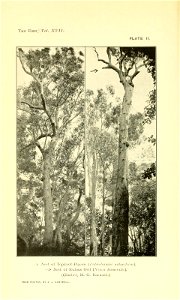 n23_w1150