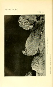 n87_w1150