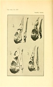 n313_w1150