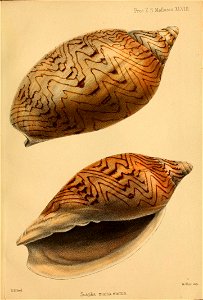n112_w1150