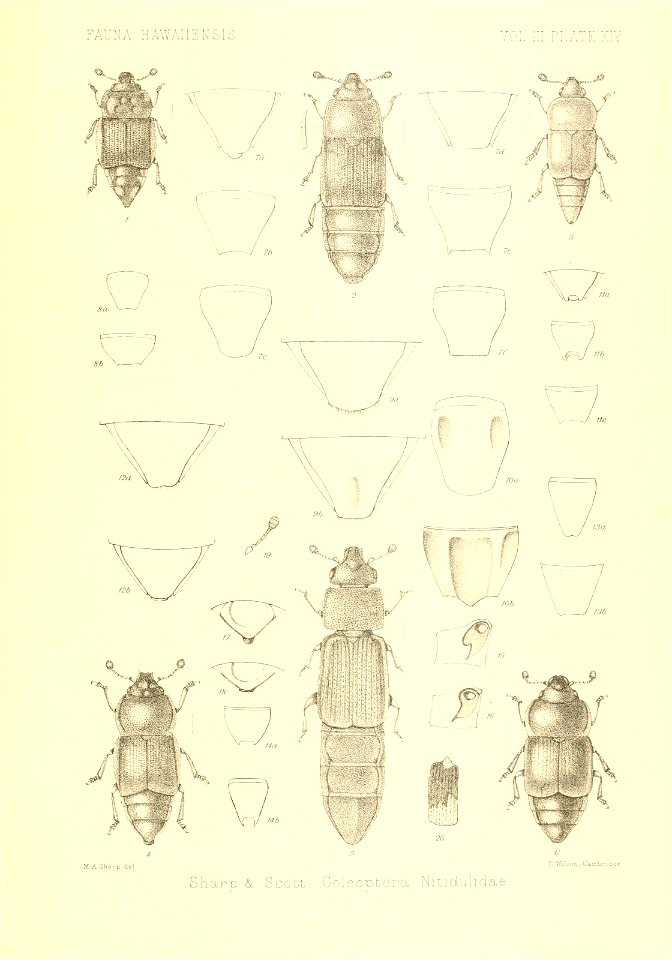 n876_w1150