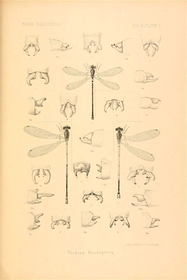 n836_w1150