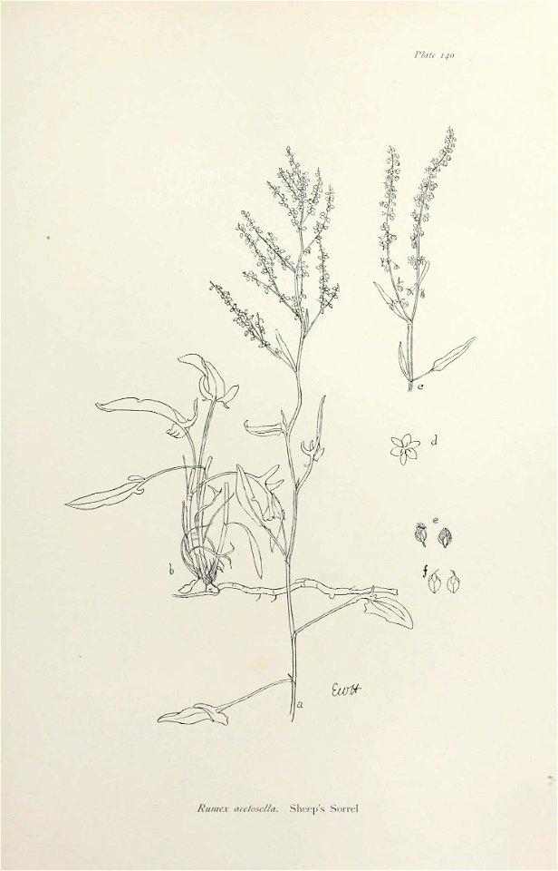 n290_w1150