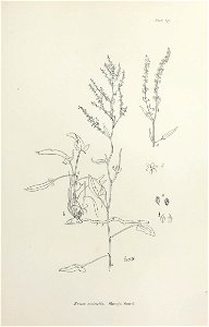 n290_w1150
