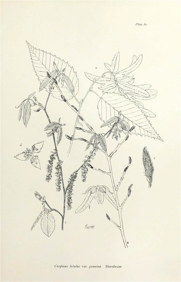 n170_w1150