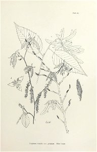 n170_w1150