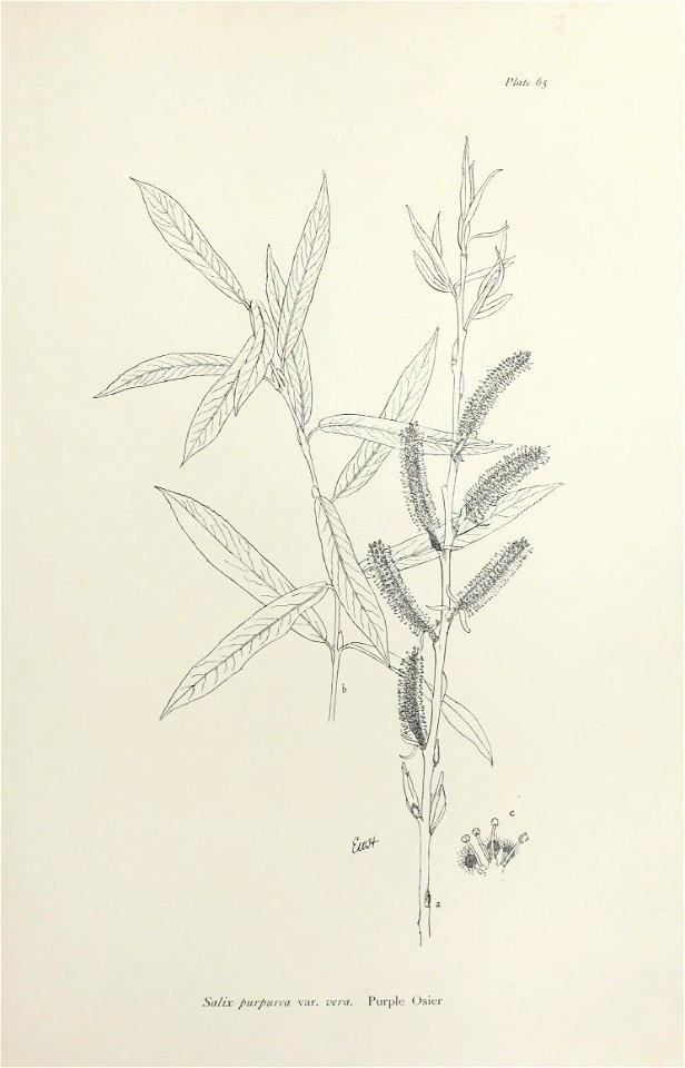 n140_w1150