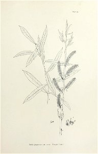 n140_w1150
