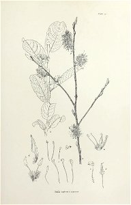 n110_w1150