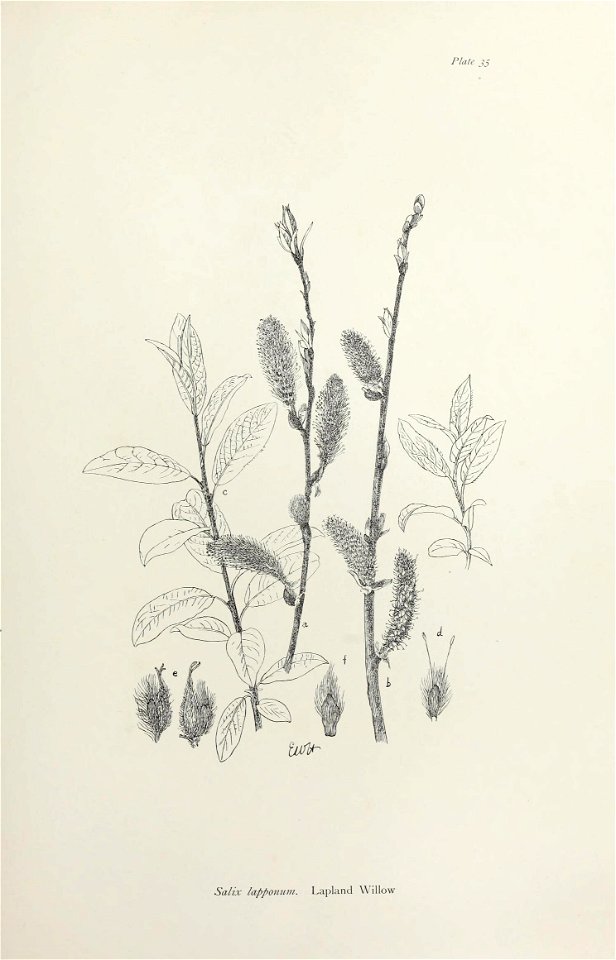 n80_w1150