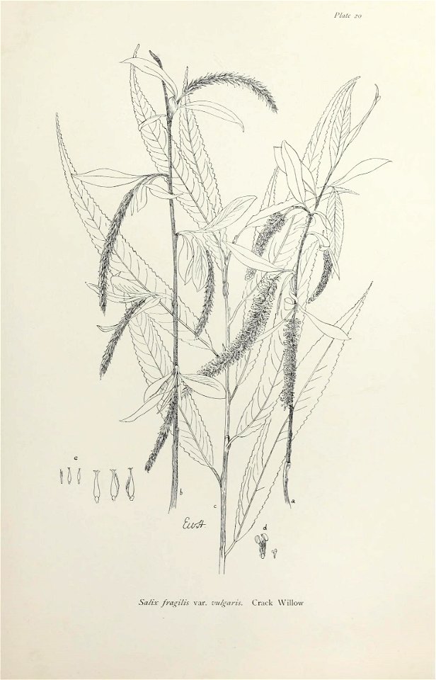 n50_w1150