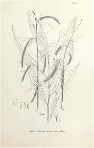 n50_w1150