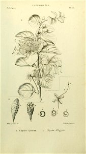 n182_w1150