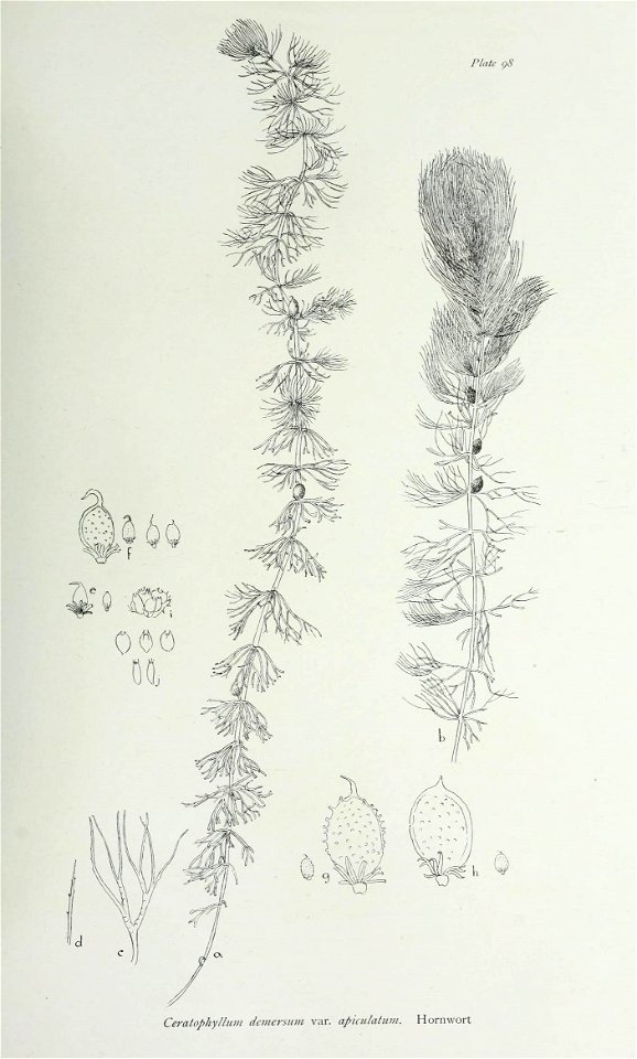 n206_w1150