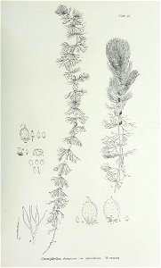 n206_w1150