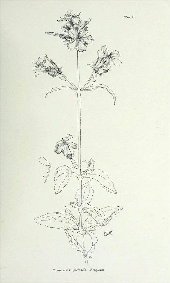 n176_w1150
