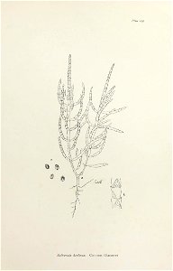 n408_w1150