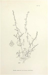 n378_w1150