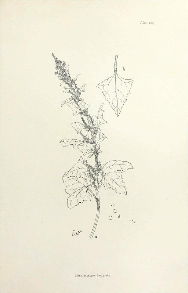 n348_w1150