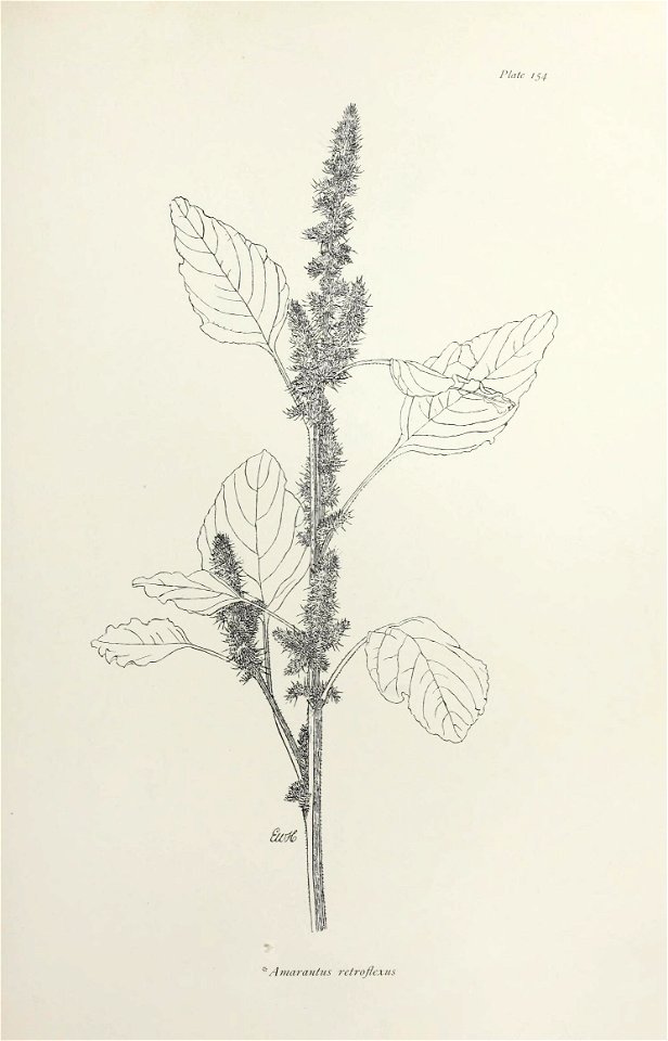n318_w1150