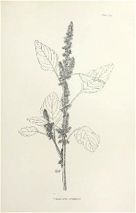 n318_w1150