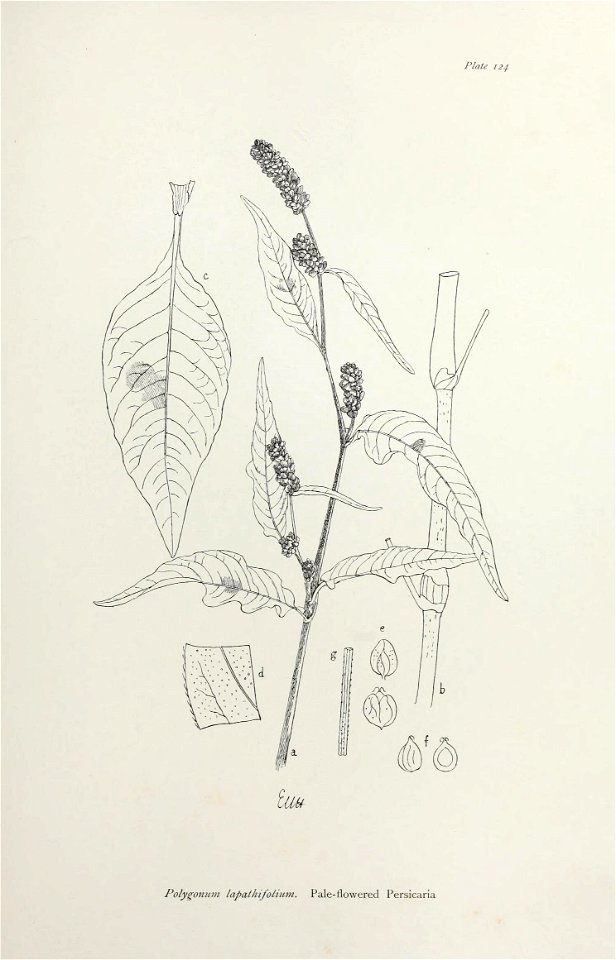 n258_w1150
