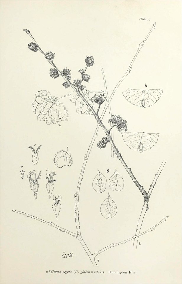 n198_w1150