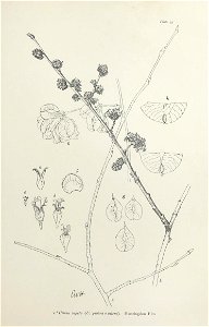 n198_w1150