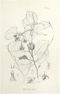 n168_w1150