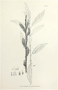 n138_w1150