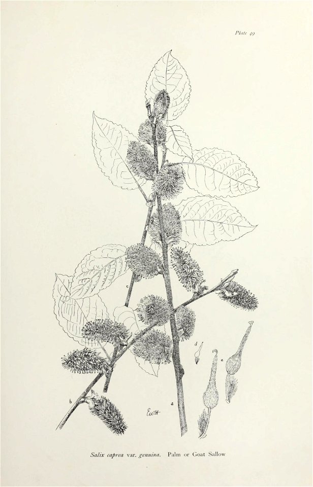 n108_w1150