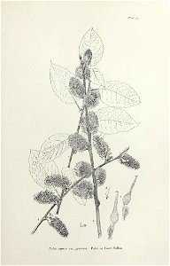 n108_w1150