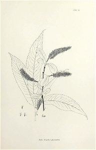 n48_w1150