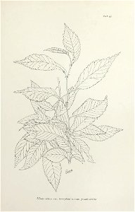n196_w1150