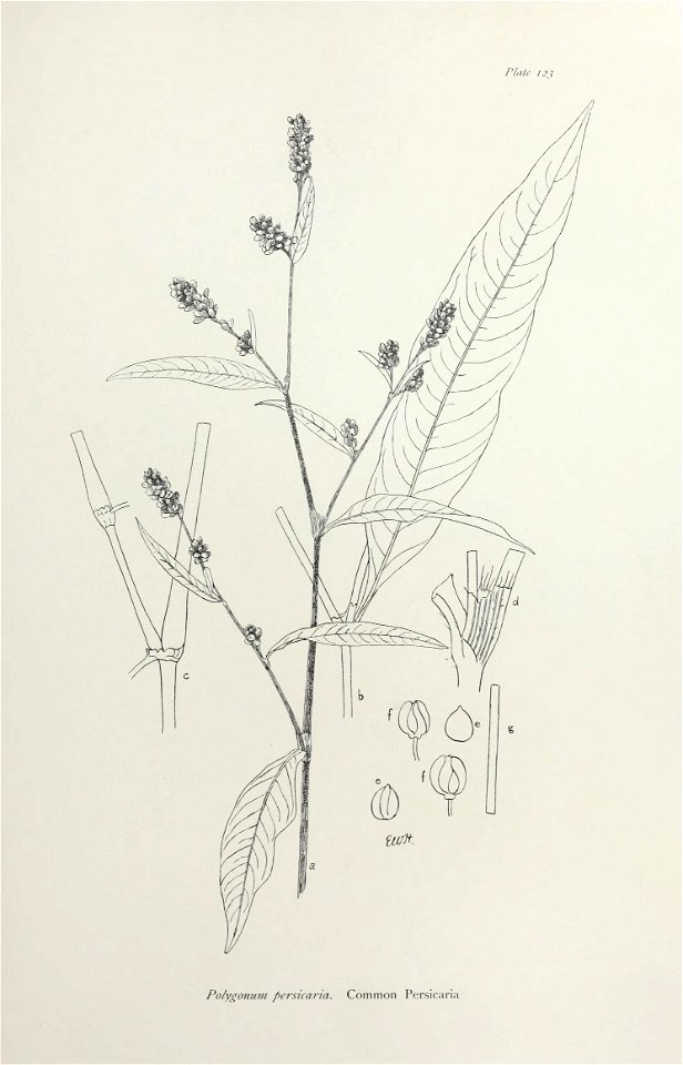 n256_w1150