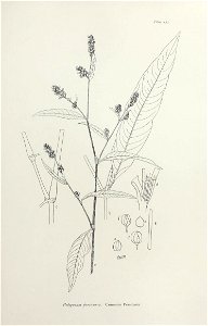 n256_w1150