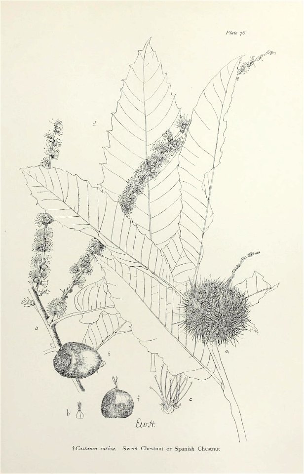 n166_w1150