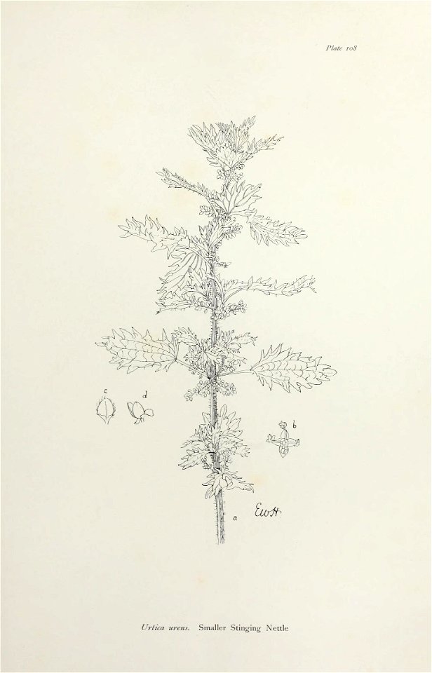 n226_w1150